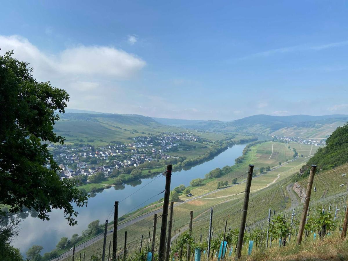 Neu!!! Moselbleibe Winzerhaus Kues *