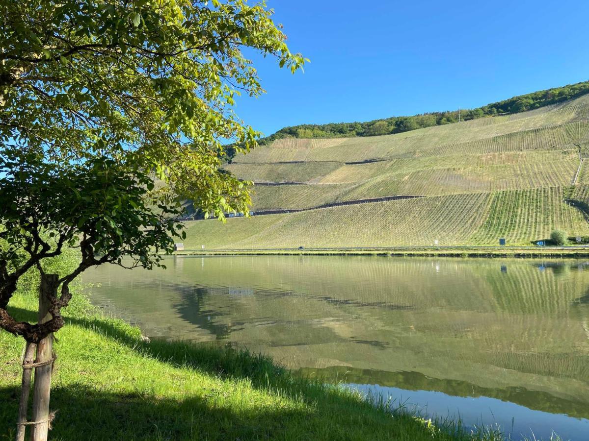 Neu!!! Moselbleibe Winzerhaus Kues * Bernkastel-Kues
